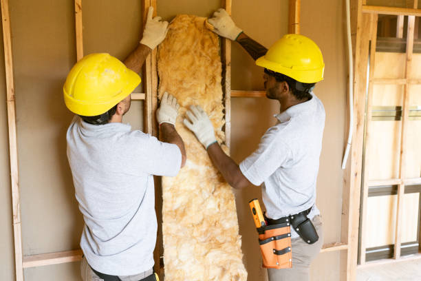 Eco-Friendly or Green Insulation Solutions in Ricardo, TX